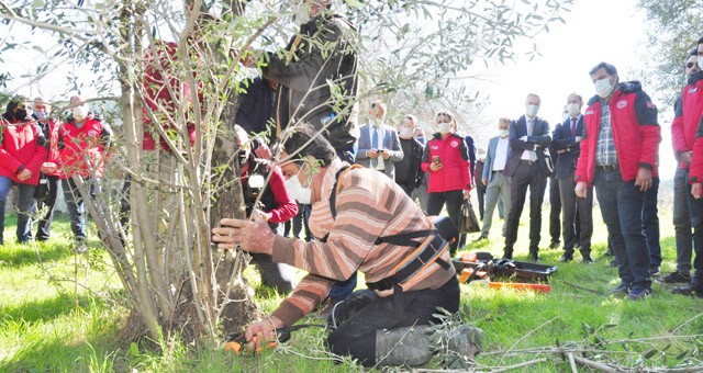 Kaymakam Böke, “Zeytinde Budama” programına katıldı