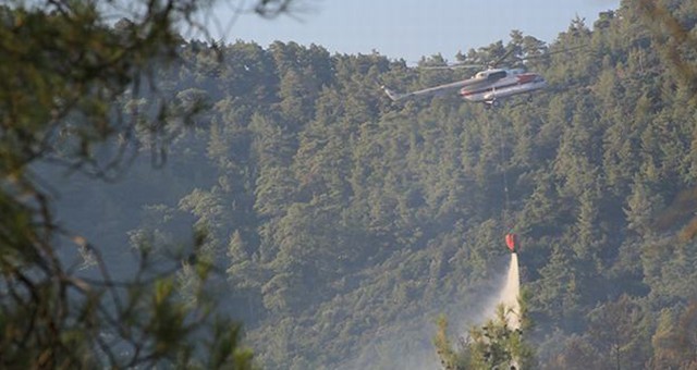 Milas ve Bodrum, Orman Yangınlarıyla Sarsıldı..