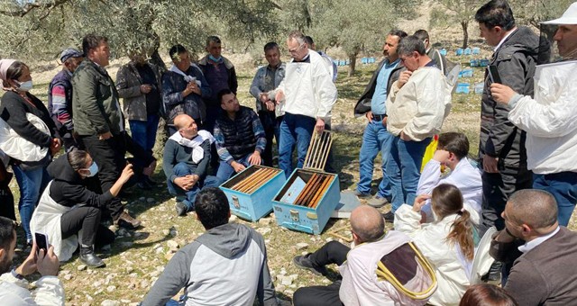 Milas Belediyesi’nin üreticilere desteği sürüyor