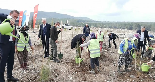 Bosna Sancak Derneği’nden Milas’ta hatıra ormanı