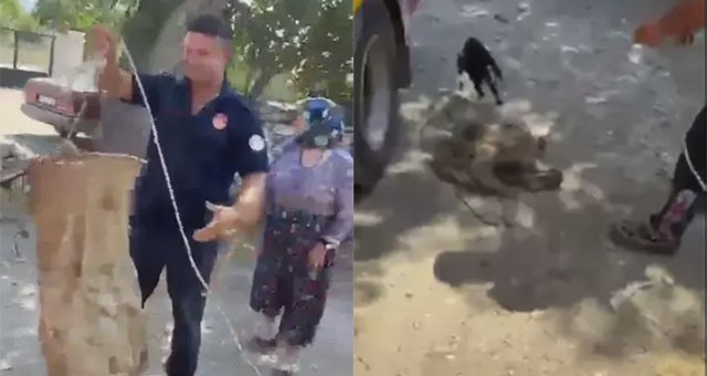 Yatağan’da Boş Su Kuyusuna Düşen Kedi İtfaiye Ekiplerince Kurtarıldı