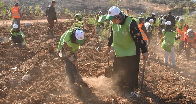 Çamovalı Mahallesi'nde Fidanlar ve Tohumlar Toprakla Buluştu
