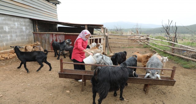  “Herkes toprağına sahip çıkmalı”