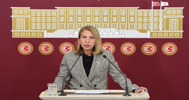 CHP Muğla Milletvekili Süreyya Öneş Derici: “Sahte Diploma Skandalı Sadece Yolsuzluk Değil, Ulusal Güvenlik Krizidir”