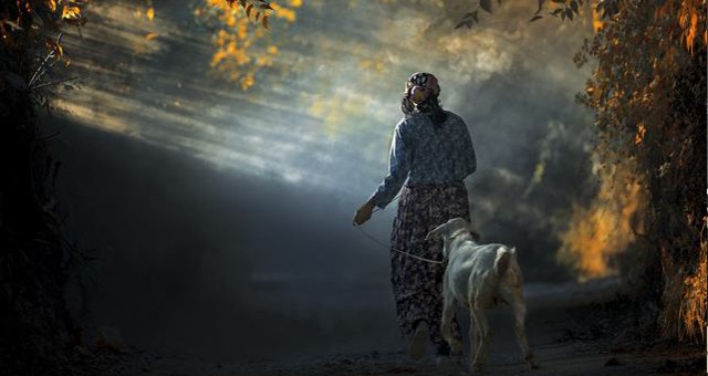 Muğla’da Yaşam’ı Anlatan En İyi Kare belli oldu