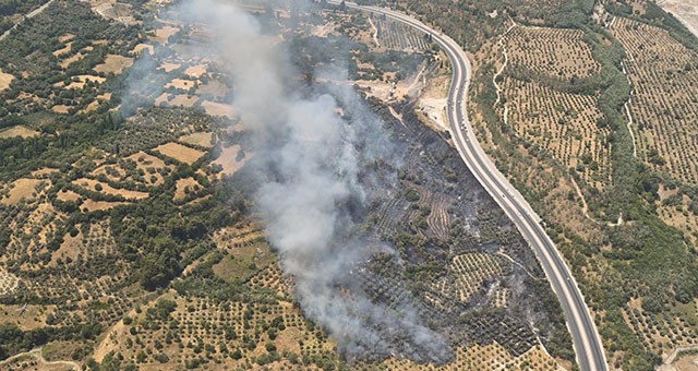 Stratonikeia Yakınlarında Tarım Arazisinde Yangın Çıktı