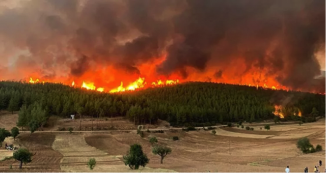 Caydırıcı cezalar ile orman yangınlarının  önlenmesi ya da azaltılması mümkündür