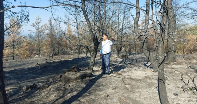 CHP’li Özcan’dan Tarım ve Orman Bakanı’na orman yangınları ile ilgili 41 soru