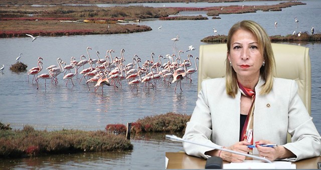 Öneş Derici’den Tuzla Sulak Alanı Uyarısı