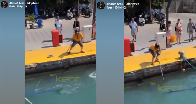 Başkan Aras’tan Mavi Yelken Balığı Tepkisi