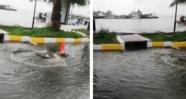 Güllük’te, “tahkim için belge”..