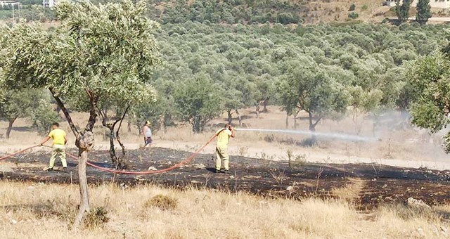 Milas Arena’nın çevresi yandı