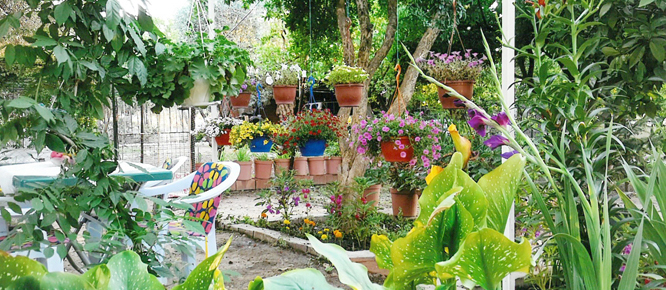‘Bahçe ve Balkon Güzellik Yarışması’ sonuçlandı