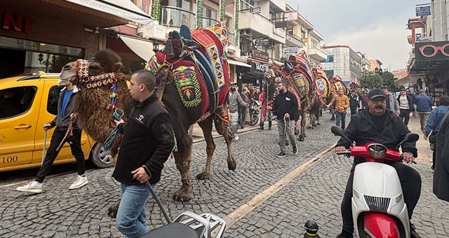 Deve Güreşleri Öncesi Milas Sokaklarında Renkli Anlar