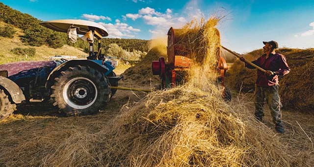 İki yıl üst üste tarım arazisini işlemeyenlerin arazileri kiraya verilecek, kira bedeli arazi sahibine verilecek