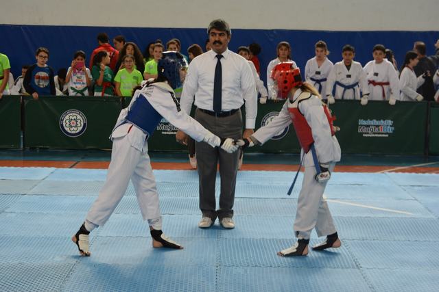 Büyükşehirden Atatürk Kupası Taekwondo Turnuvası