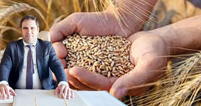Milas TMO, buğday alımlarına başlıyor