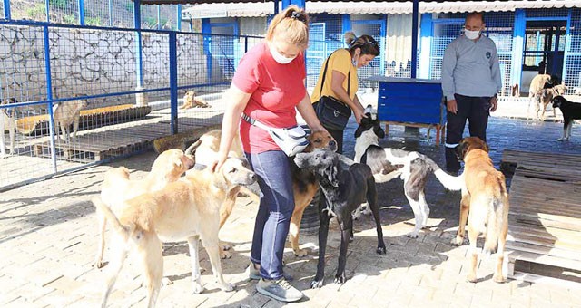 Hayvanları Koruma Günü’nde barınak ziyareti