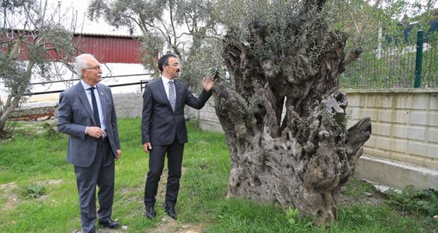 Kaymakam Arslan, Başkan Atıcı’yı ziyaret etti