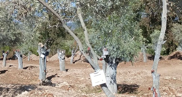 İkizköylülerden Açıklama: “Muhtarlar Danışma Kurulu Yok”
