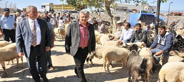 “Milas, ‘Kurban Bayramı’na hazır”