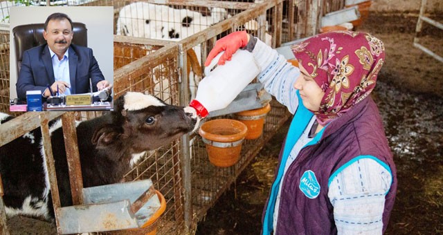 Milas Süt Birliği Başkanı Gezgin: “Çiğ süt desteği en az 1 lira olmalı”