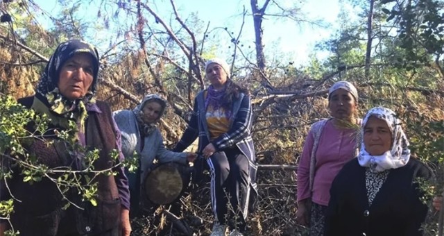 Akbelenli Kadınlardan Çağrı:  “Bir Gün Gelin Bizimle Yaşayın!”
