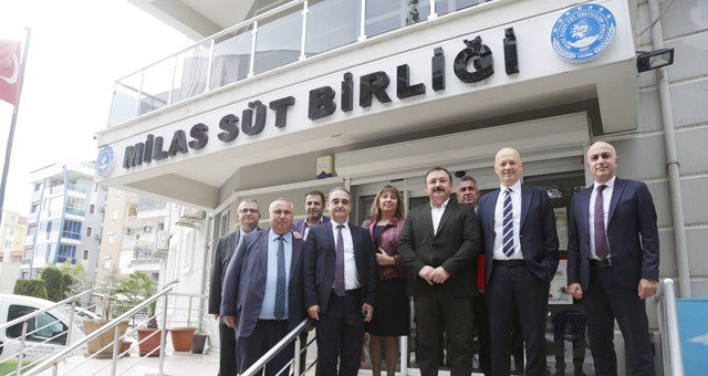 Milas Süt Birliği TEB ile anlaşma yeniledi