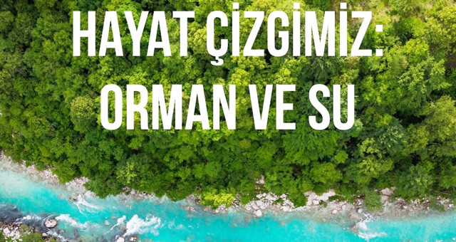 Hayat çizgimiz: Orman ve Su