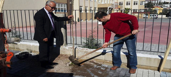 Efekent, Atakent ve Hastane Yolunda fidan dikimi