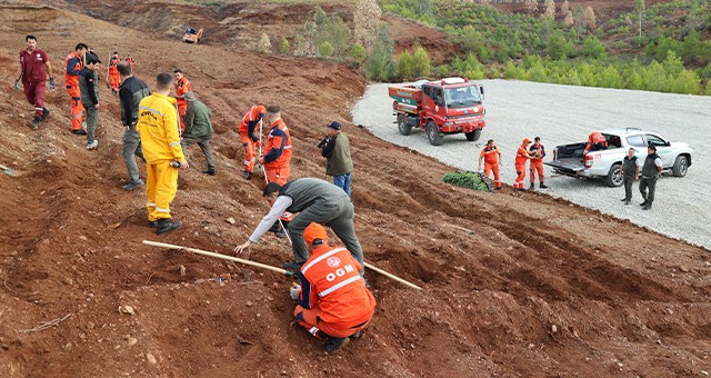 Milas ve Diğer İlçelerde Fidan Dikilecek