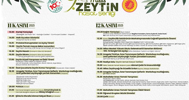 9. Milas Zeytin Hasadı Şenliği’ne Geri Sayım Başladı