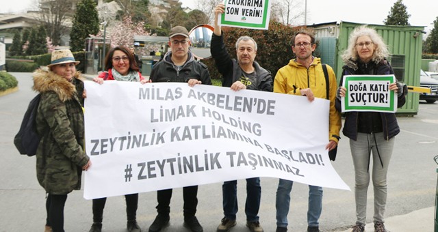 Zeytin kıyımına meclisten tepki yağdı