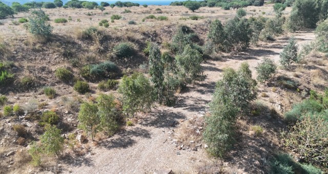 Muğla’da Vahşi Depolama Alanları Yeşile Dönüşüyor