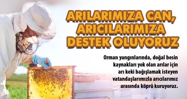 Büyükşehirden arıcılara destek kampanyası