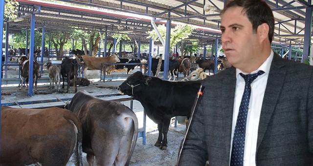 Milas Ziraat Odası Başkanı Akar’dan Çiftçilere Önemli Uyarı: “Bu Yılki Şap Virüsü Daha Ölümcül”