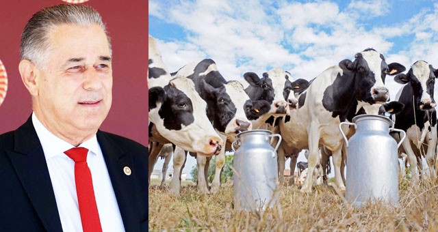  “Süt üreticisi perişan durumda; fiyatlar acilen artırılmalıdır”