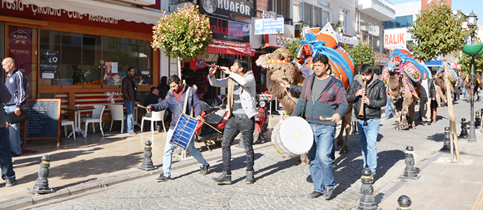 Develerden güreşlere davet var