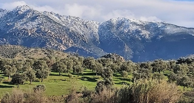 Milas’ın dağları karla kaplandı..