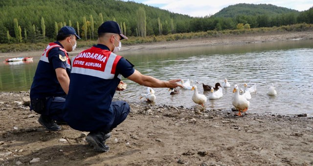 Jandarma’dan Hayvanları Koruma Günü etkinliği