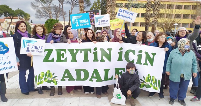 Zeytinin çığlığı Milas’tan yükseldi