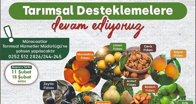 Üreticilere Fidan Dağıtımı Gerçekleştirilecek