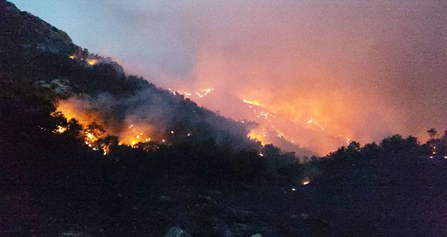 DATÇA YANGINI ÖNCEKİ GECE BOYUNCA SÜRDÜ