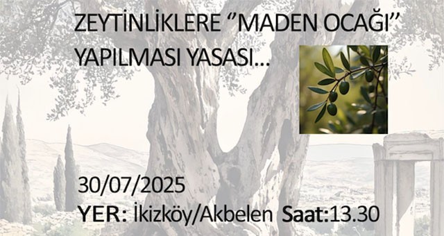 Mimarlar Odası Yarın Akbelen’de Basın Açıklaması Yapacak..
