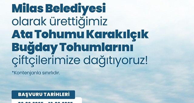 Milas Belediyesi’nden Üreticilere Karakılçık Buğday Tohumu Desteği