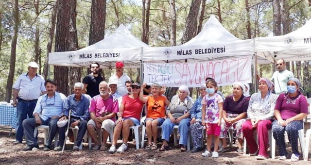 Orman Genel Müdürlüğü Akbelen Ormanı’nda maden işletme iznini askıya aldı!