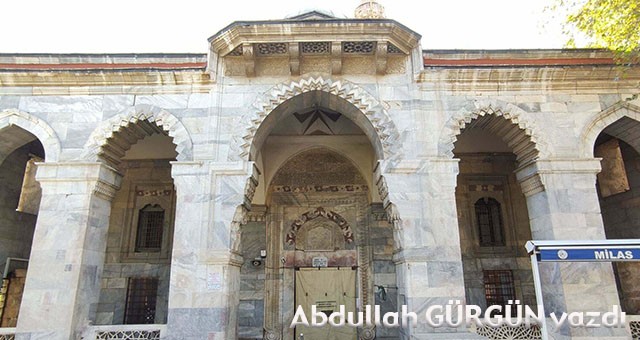 BOZKURT’U KURTARMAK