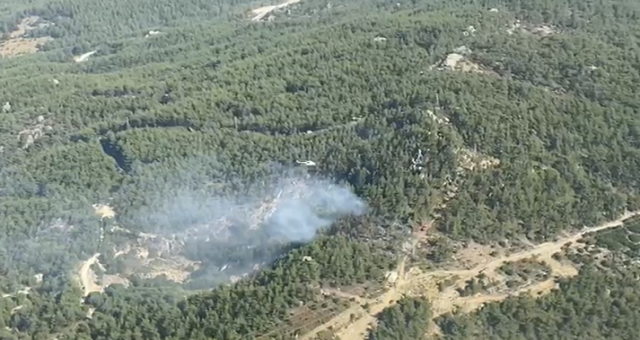 Milas Yumrutaş Mevkii’nde Orman Yangını