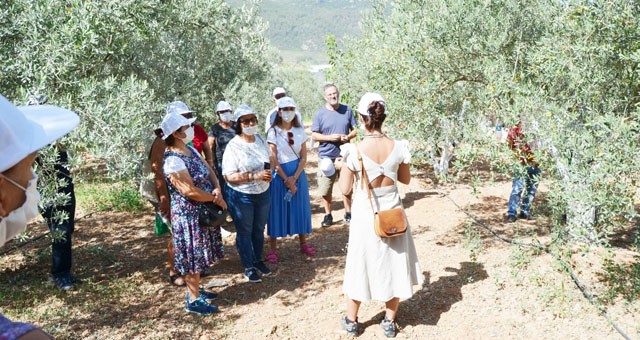 “Kentten Köye Zeytin Tarımında Kadının Gücü” projesi eğitimlerle devam ediyor