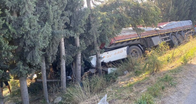 Balık yemi yüklü tır tarlaya uçtu